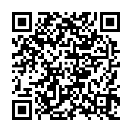 QR code for ZXX310