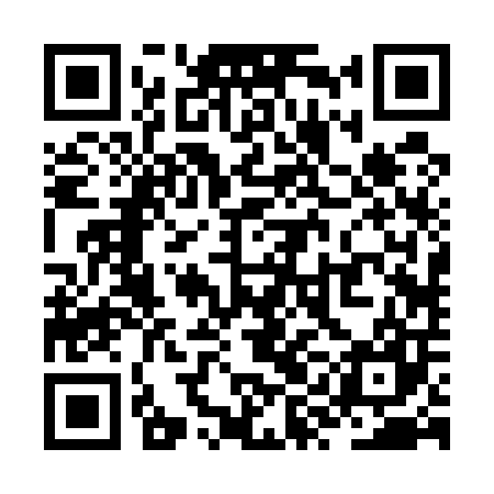 QR code for ZYB507