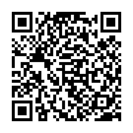 QR code for ZYE428