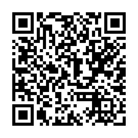 QR code for ZYG391