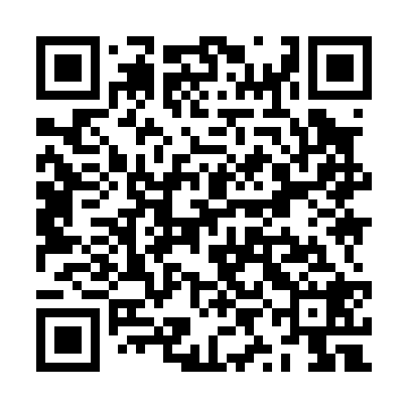 QR code for ZYI028