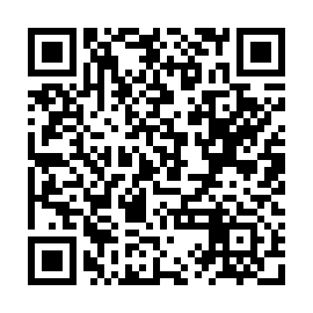 QR code for ZYI713