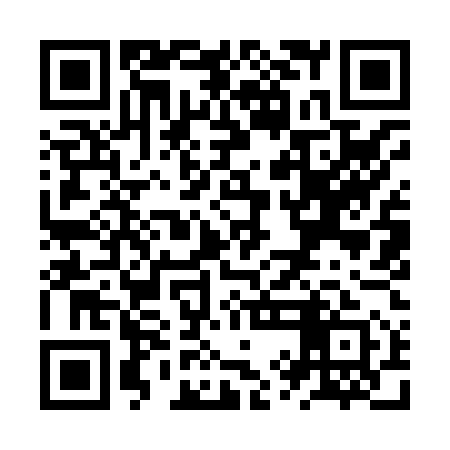 QR code for ZYI851