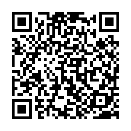 QR code for ZYJ208