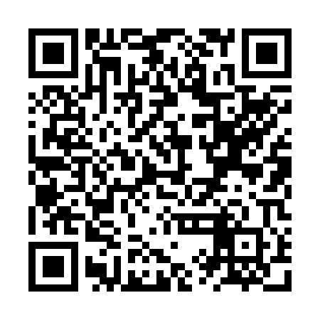 QR code for ZYL200