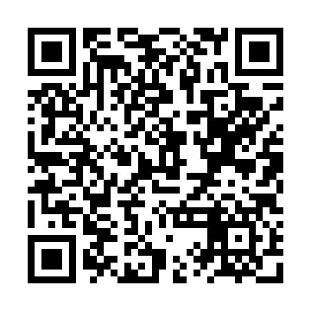 QR code for ZYL487