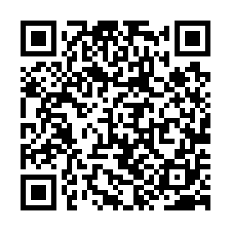 QR code for ZYL750