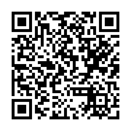 QR code for ZYN101