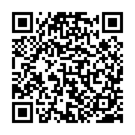 QR code for ZYN141