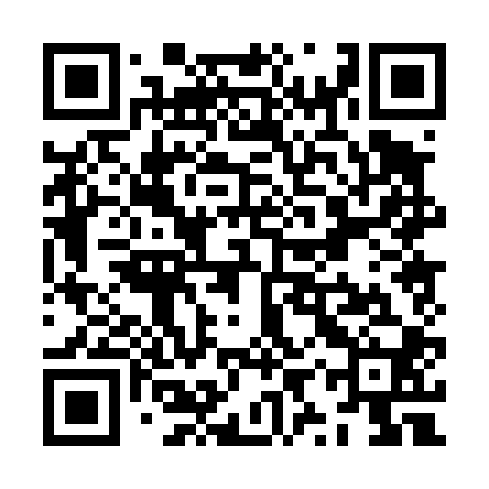 QR code for ZYP400