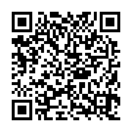 QR code for ZYQ335