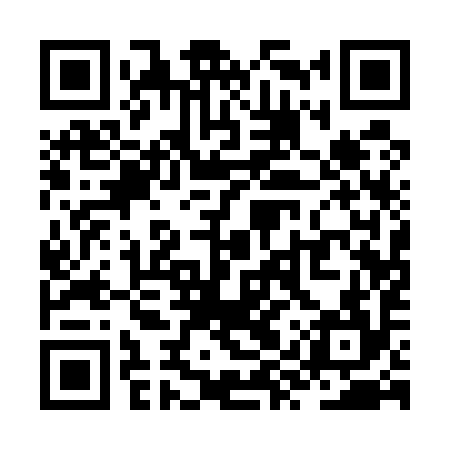 QR code for ZYQ594