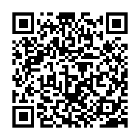 QR code for ZYQ838