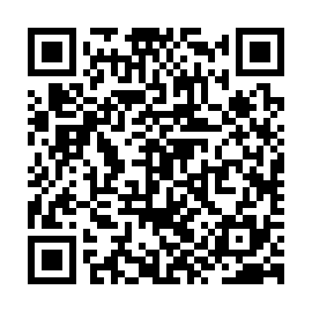 QR code for ZYR335