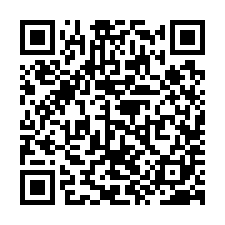 QR code for ZYV781