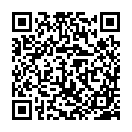 QR code for ZYZ307
