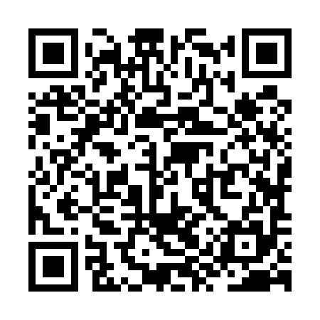 QR code for ZYZ595