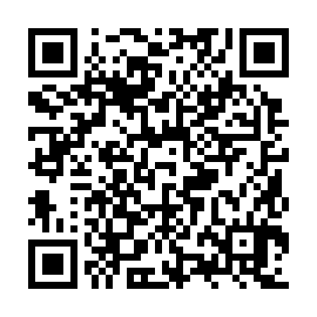 QR code for ZZA384