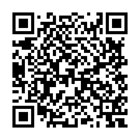 QR code for ZZG811
