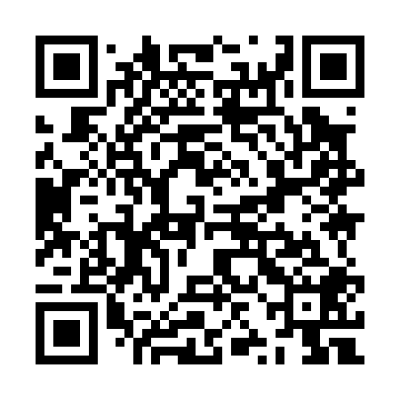 QR code for ZZI008