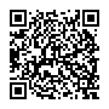 QR code for ZZL286