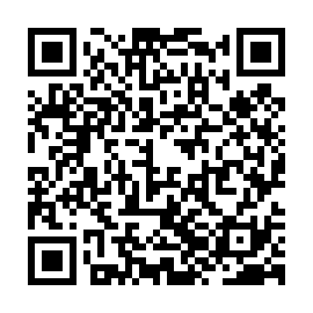 QR code for ZZO431