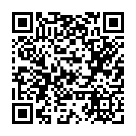 QR code for ZZT369