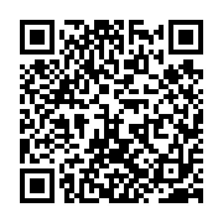 QR code for ZZV613