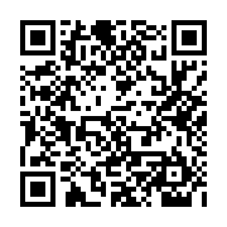 QR code for ZZW595
