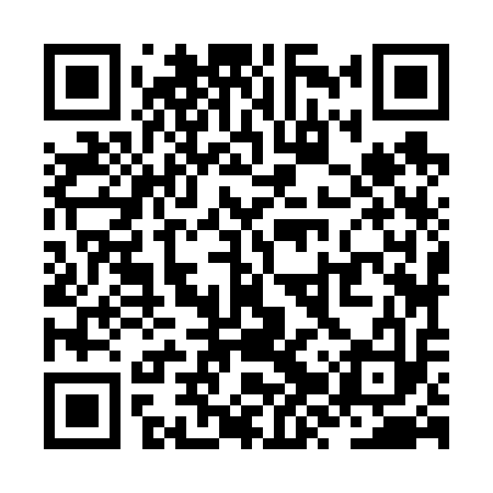 QR code for ZZZ613