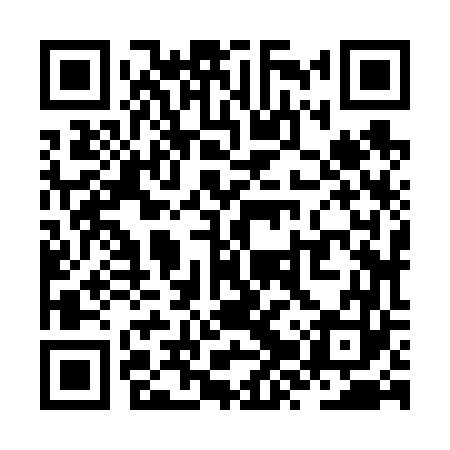 QR code for ZZZ663
