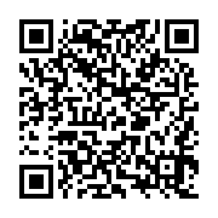 QR code for ZZZ955