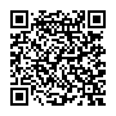 QR code for 006LOW