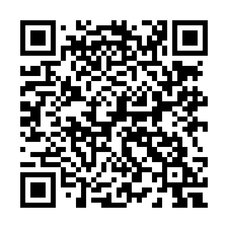 QR code for 009LCG