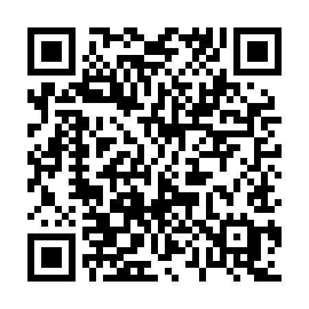 QR code for 009LIE