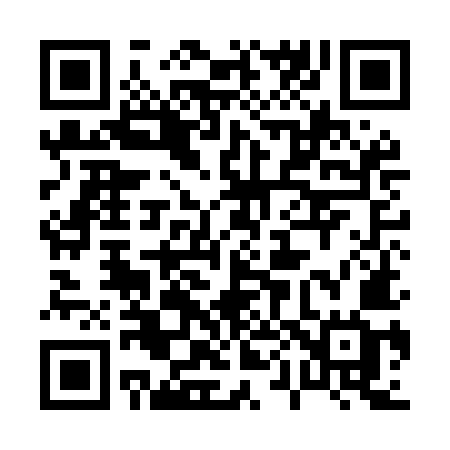 QR code for 009MMG