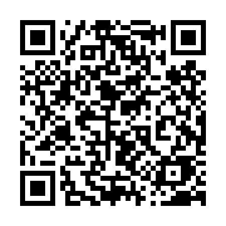 QR code for 010DSE