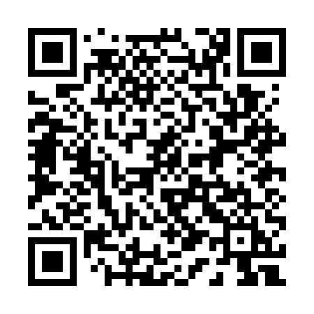 QR code for 010GUI