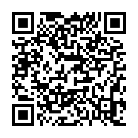 QR code for 010XNK