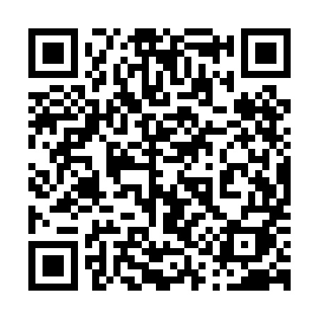 QR code for 011PMI