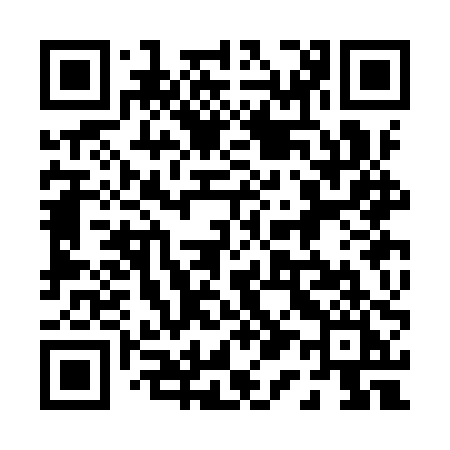 QR code for 013IPI