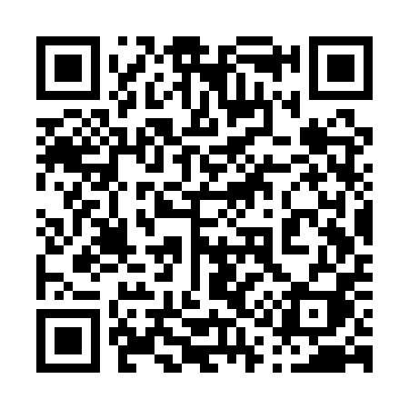 QR code for 013QPI