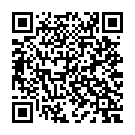 QR code for 017PPG