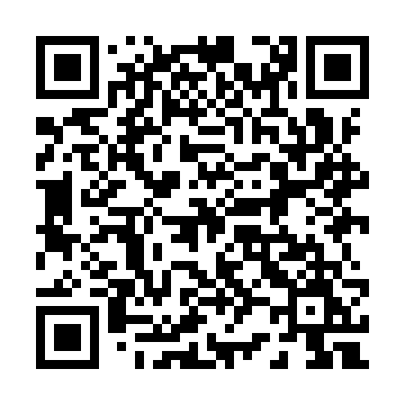 QR code for 029IVM