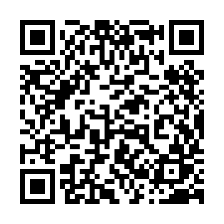 QR code for 029PIR