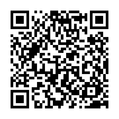 QR code for 029PRO
