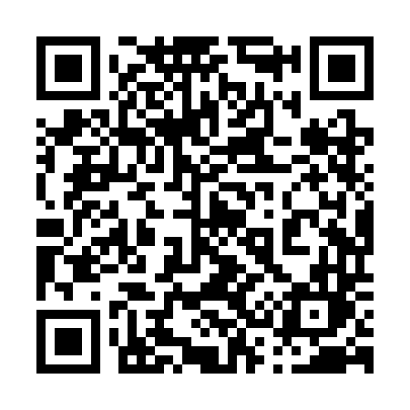 QR code for 038SDL