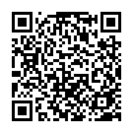 QR code for 063SPE
