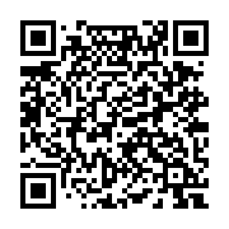 QR code for 063TIF