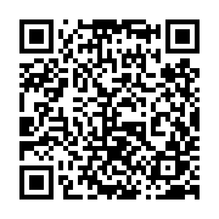 QR code for 063TYR